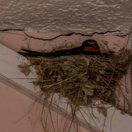 Swallow's Nest In The Old Town Center Apartment *